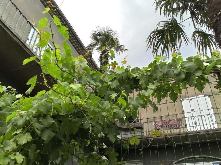 La Maison Jaffran, Suite En Ville Privas Exteriör bild