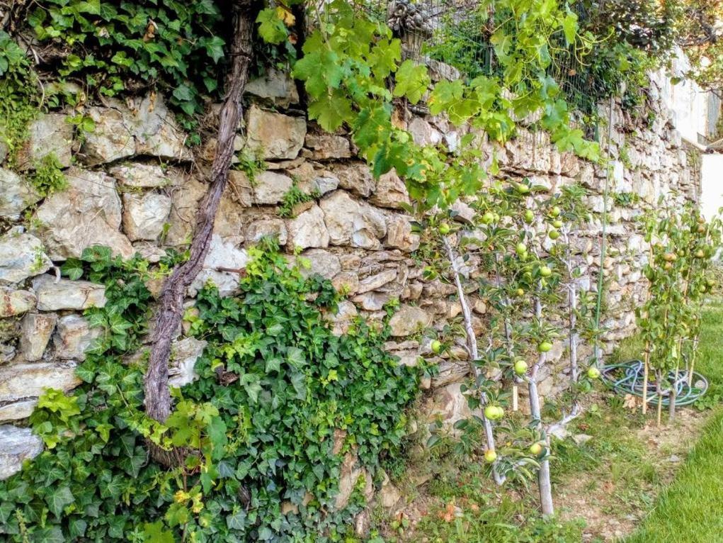 La Maison Jaffran, Suite En Ville Privas Exteriör bild